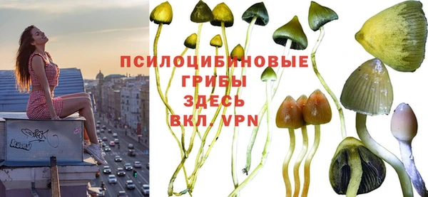 скорость Алзамай